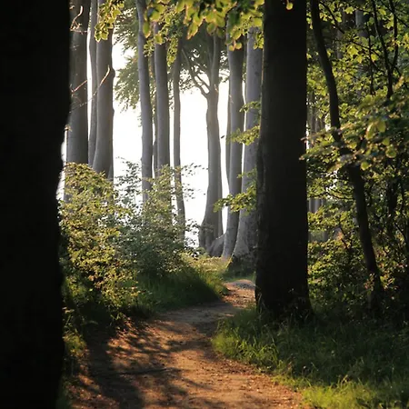 Raetselstube Passee